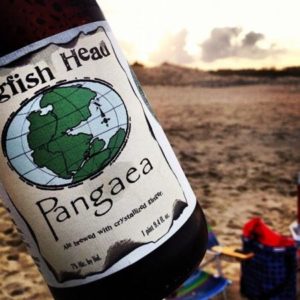 Bottle of Pangaea beer